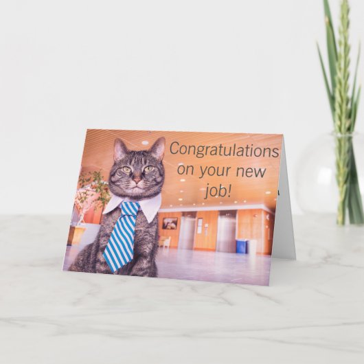 新しいジョブ子猫グリーティングカード カード (正面)