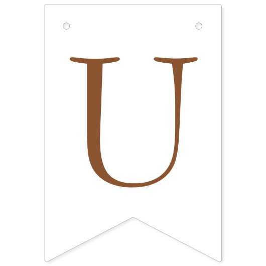 新しいチャプターブライダルシャワーの始まり バンティングフラッグ (第2の旗)