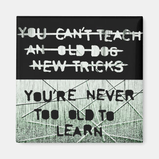 新しいトリック磁石 マグネット