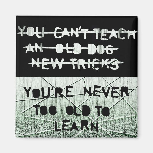 新しいトリック磁石 マグネット (正面)