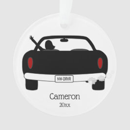 新しいドラ10代のイバ オーナメント