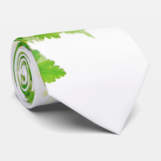 新しいパセリ ネクタイ (ロール)