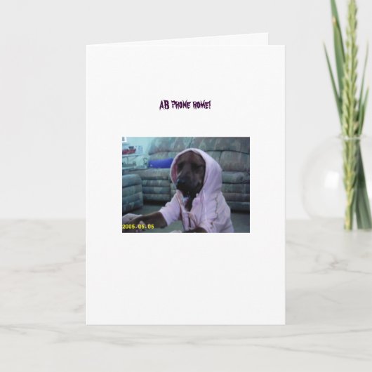 新しいピンクのジャンプスーツを着たアンナベル カード (正面)