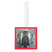 新しいファミリメンバの紹介 キューブオーナメント (正面)