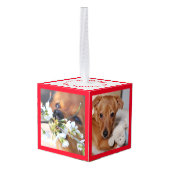 新しいファミリメンバの紹介 キューブオーナメント (裏面アングル)