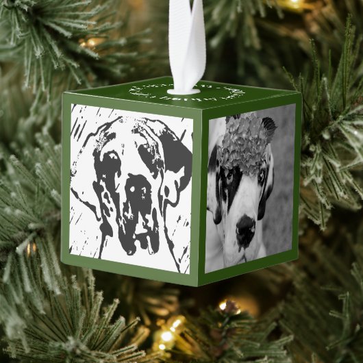 新しいファミリメンバの紹介 キューブオーナメント (ツリー)