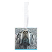 新しいファミリメンバの紹介 キューブオーナメント (正面)