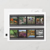 新しいフォレストフィルムストリップ葉書 ポストカード (正面/裏面)