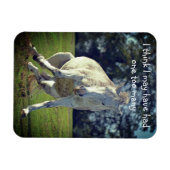 新しいフォレストホワイトポニーポおもしろいーズ マグネット (横)