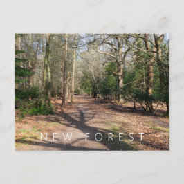 新しいフォレスト ポストカード