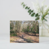 新しいフォレスト ポストカード (スタンド正面)