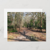 新しいフォレスト ポストカード (正面/裏面)