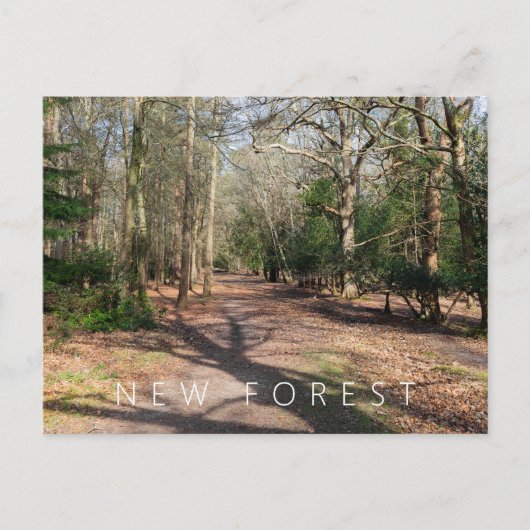 新しいフォレスト ポストカード (正面)