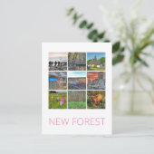 新しいフォレスト ポストカード (スタンド正面)