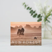 新しいフォレスト ポストカード (スタンド正面)