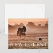 新しいフォレスト ポストカード (正面/裏面)