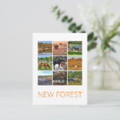 新しいフォレスト ポストカード (スタンド正面)