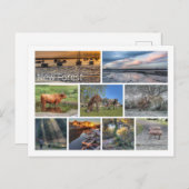 新しいフォレスト ポストカード (正面/裏面)