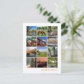 新しいフォレスト ポストカード (スタンド正面)