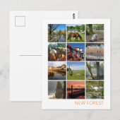 新しいフォレスト ポストカード (正面/裏面)