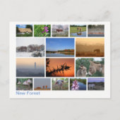 新しいフォレ数々のストイメージ2 ポストカード (正面)