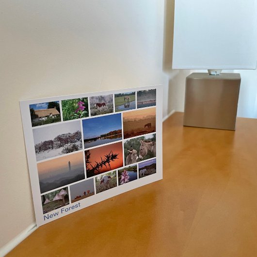 新しいフォレ数々のストイメージ2 ポストカード