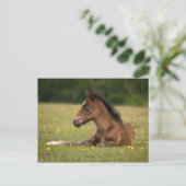 新しいフォール ポストカード (スタンド正面)