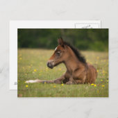 新しいフォール ポストカード (正面/裏面)