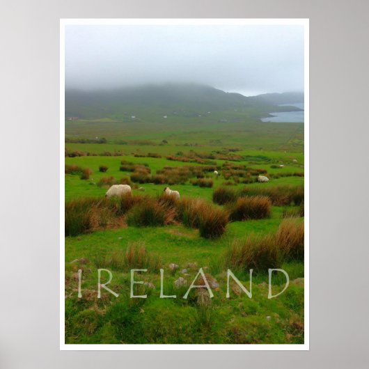 新しいプリントのアイルランドの緑と緑! ポスター (正面)