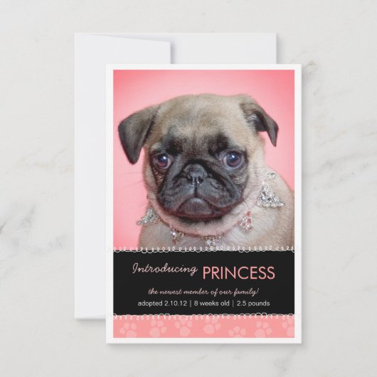 新しいペットのピンクの手のプリント写真の発表 案内状 (正面)