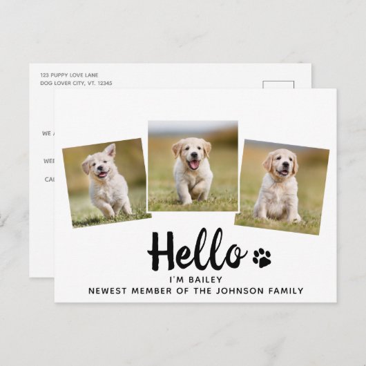 . .新しいペットの写真、ハローパピードッグ 案内ポストカード (正面/裏面)
