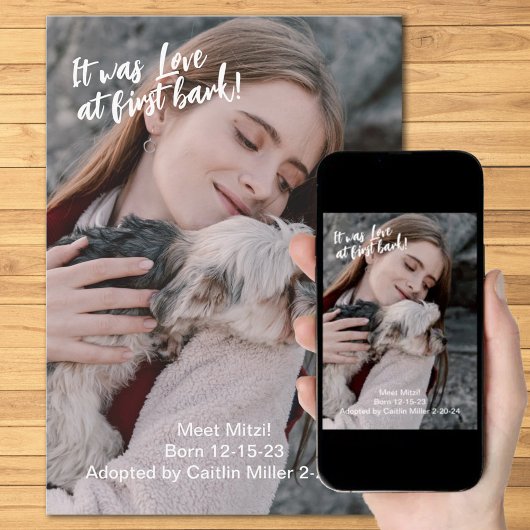 新しいペットの写真 案内状