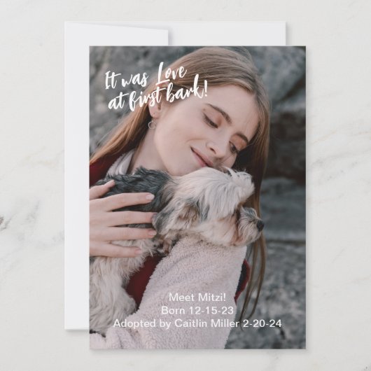 新しいペットの写真 案内状 (正面)