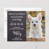 新しいペットの新しい子犬の発表の予算を設定 (正面/裏面)