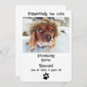 新しいペットの犬のお知らせカード (正面/裏面)