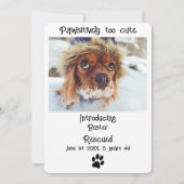 新しいペットの犬のお知らせカード (正面)