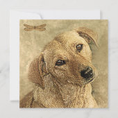 新しいペットの犬のカードおめでとうございます カード (正面)