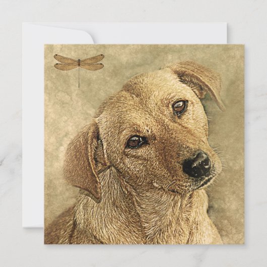 新しいペットの犬のカードおめでとうございます カード (正面)