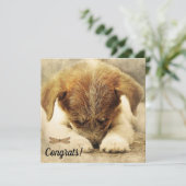 新しいペットの犬のカード - おめでとうございます カード (スタンド正面)