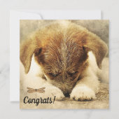 新しいペットの犬のカード - おめでとうございます カード (正面)
