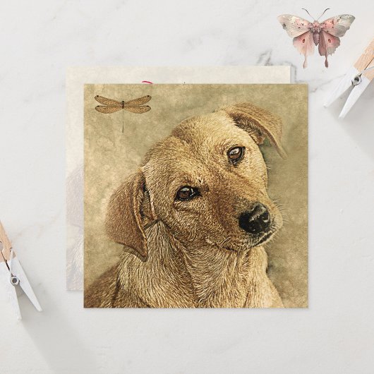 新しいペットの犬カードへようこそ カード