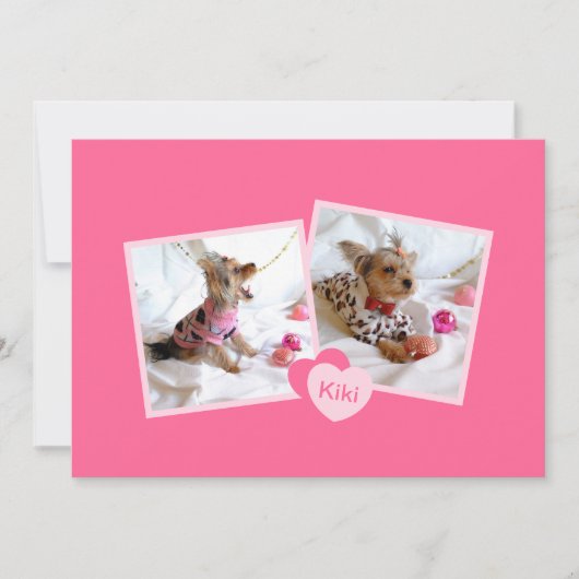 新しいペットの里親募集ガーリーがピンク 案内状 (正面)