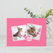 新しいペットの里親募集ガーリーがピンク 案内状 (スタンド正面)