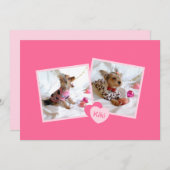 新しいペットの里親募集ガーリーがピンク 案内状 (正面/裏面)