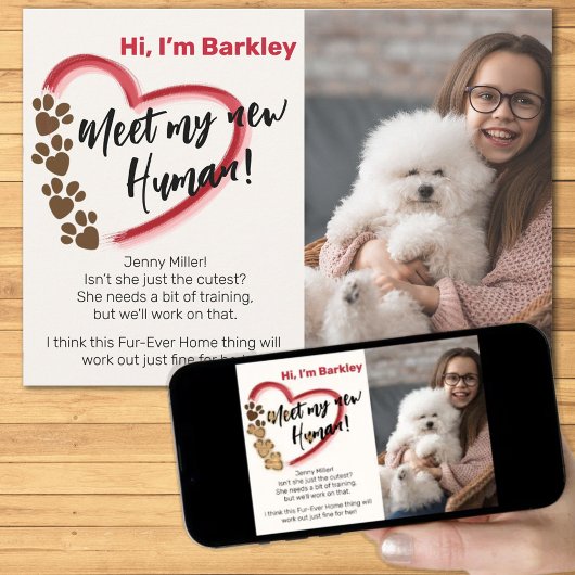 新しいペットの里親 案内状