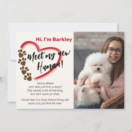 新しいペットの里親 案内状 (正面)