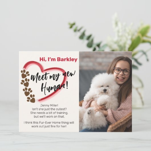 新しいペットの里親 案内状 (スタンド正面)