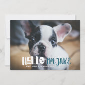 新しいペットの養子縁組のお知らせ |こんにちは 案内状 (正面)