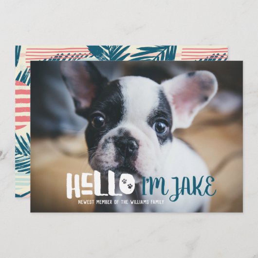 新しいペットの養子縁組のお知らせ |こんにちは 案内状 (正面/裏面)