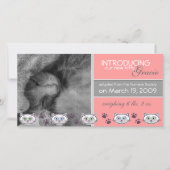 新しいペットの養子縁組のお知らせ 案内状 (正面)